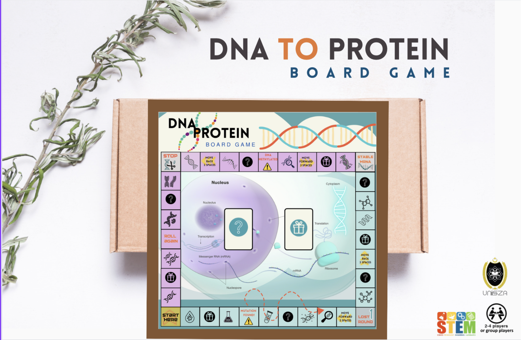 DNA to PROTEIN Board Game