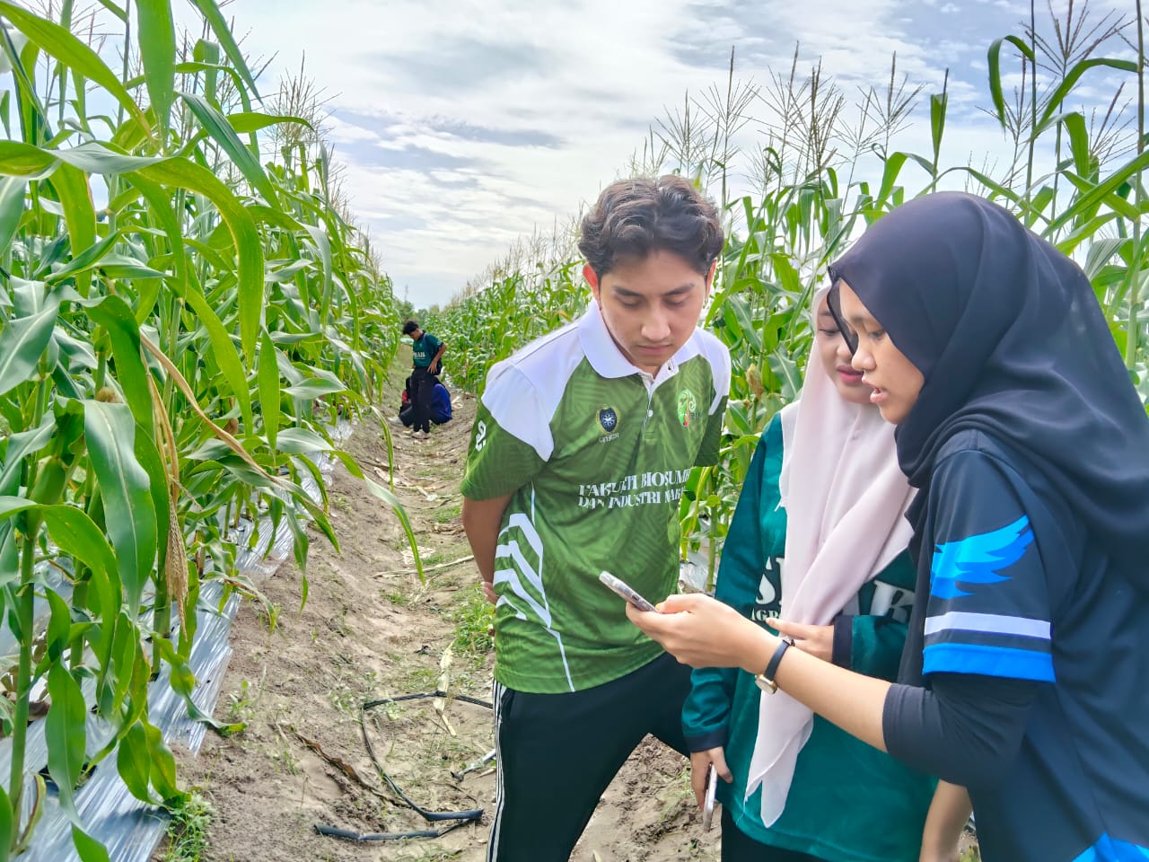 farm2